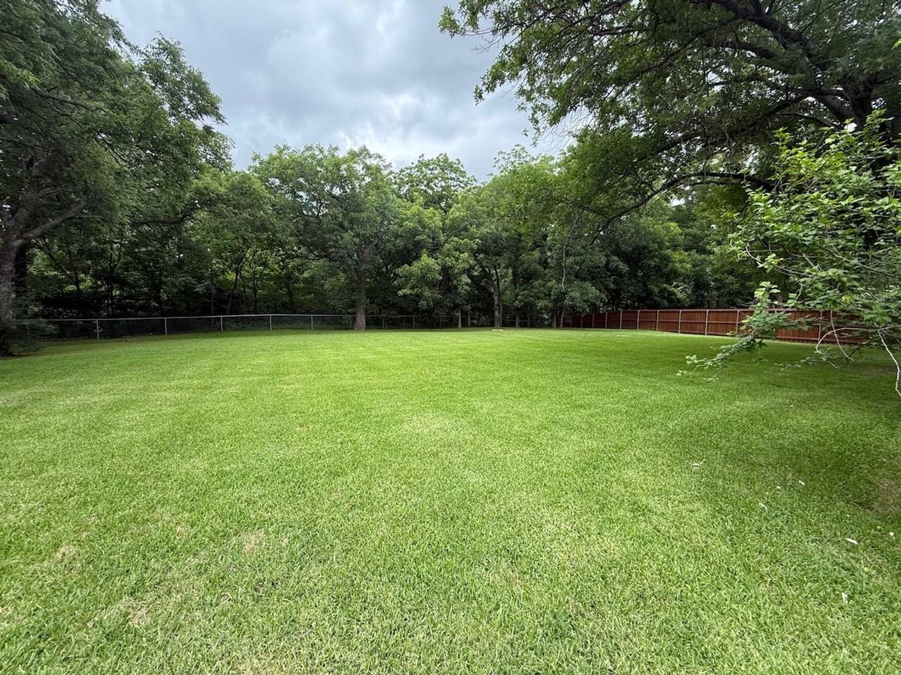 1601 Skyline Dr - Photo 5 of 50