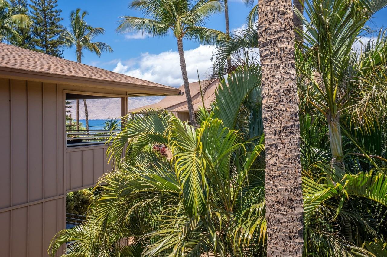 679 S Kihei Rd - Photo 7 of 35