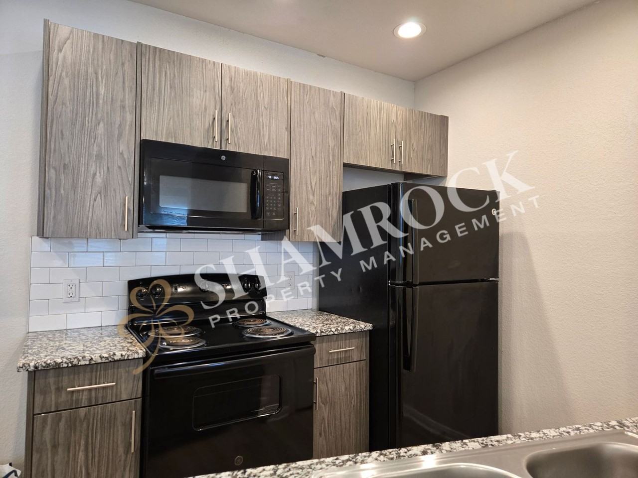 1307 Austin Ave #202 - Photo 4 of 13