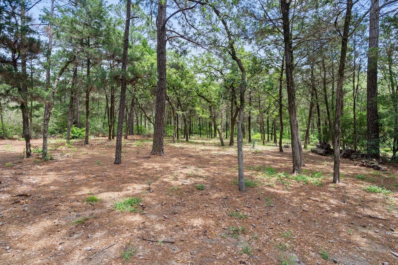 1014 Fm 1441 - Photo 3 of 50