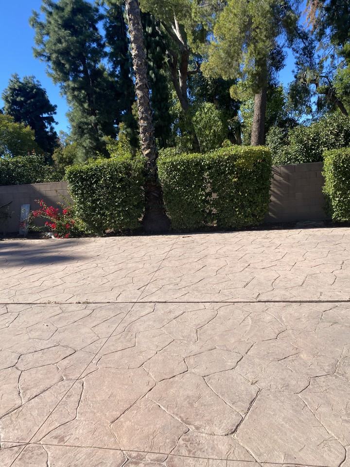22829 Burbank Blvd #NA - Photo 5 of 16