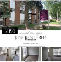 featured image of 12015 103 Ave Nw