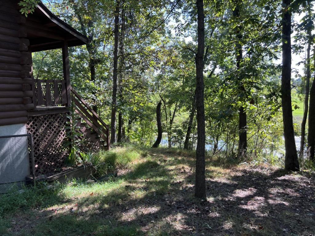 1327 Fairfield Rd - Photo 2 of 23
