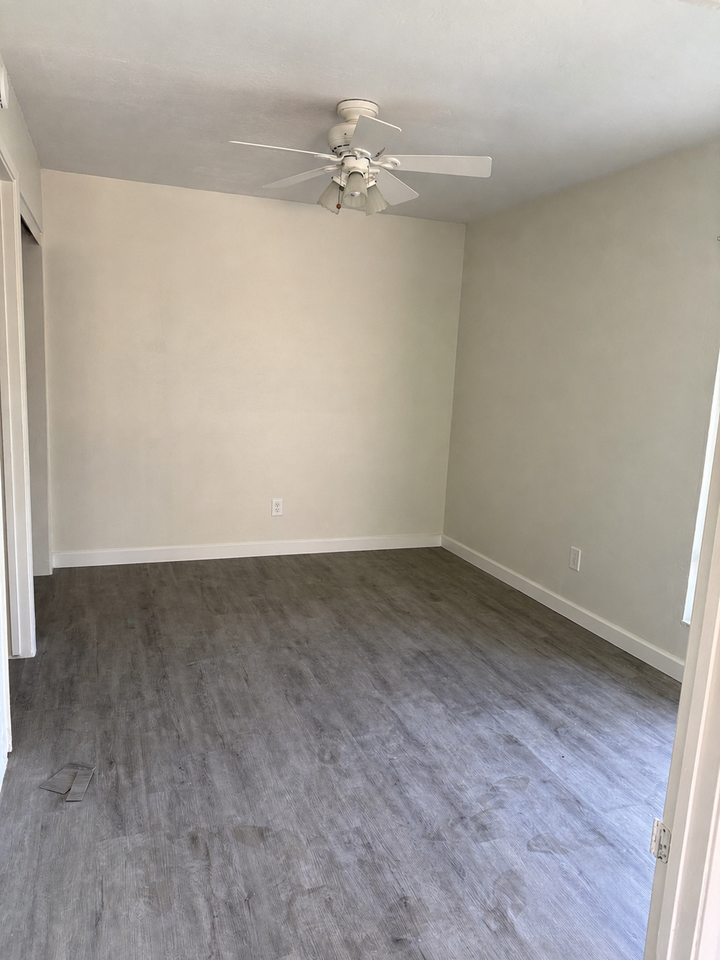 803 Vespucci Ln - Photo 4 of 10