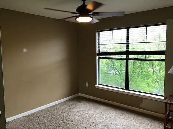 211 North Ave #1333 - Photo 5 of 15