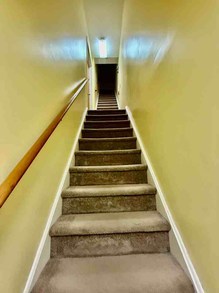 2528 Christian St 3rd Fl #3rdFL - Photo 4 of 24