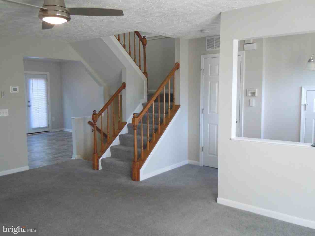 11203 Barnswallow Pl Apt D - Photo 2 of 12