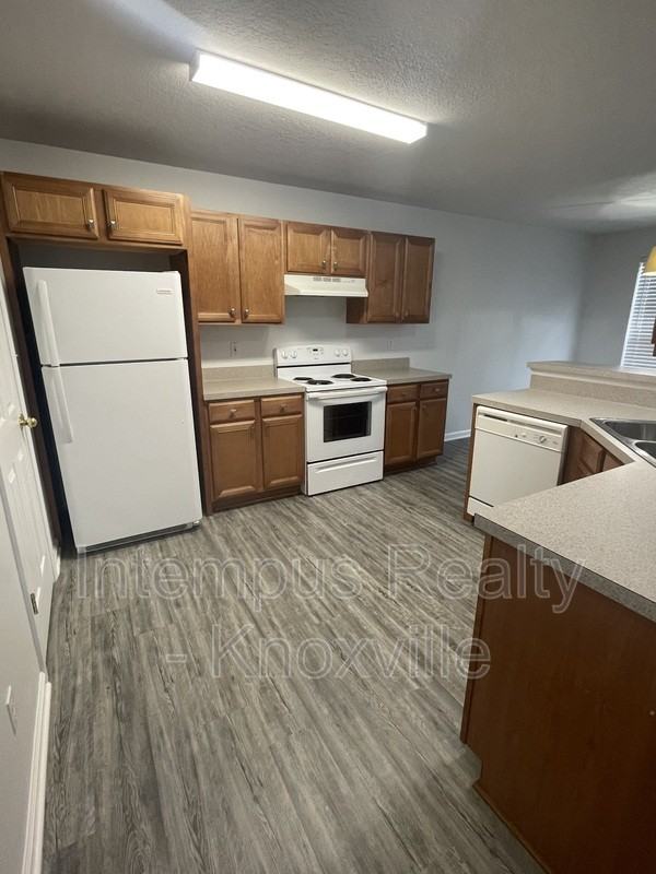 3119 Pinex Ln - Photo 4 of 28