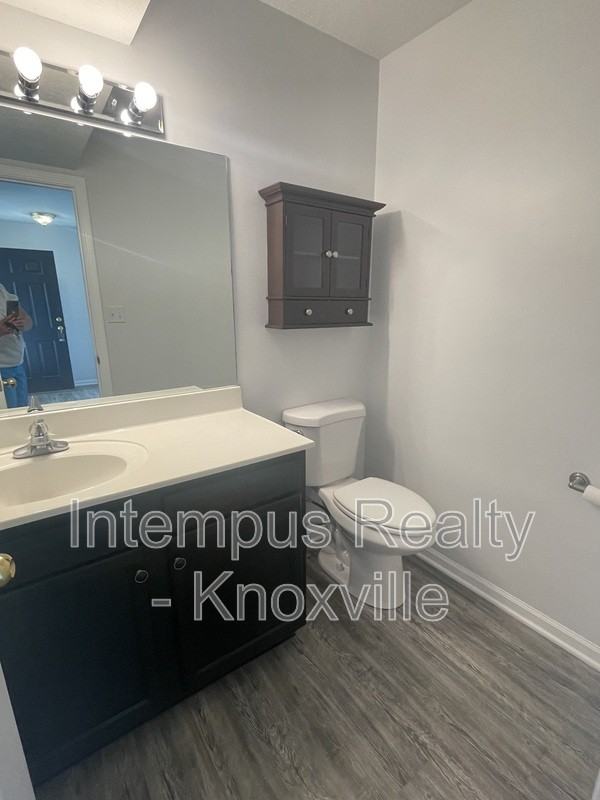 3119 Pinex Ln - Photo 5 of 28