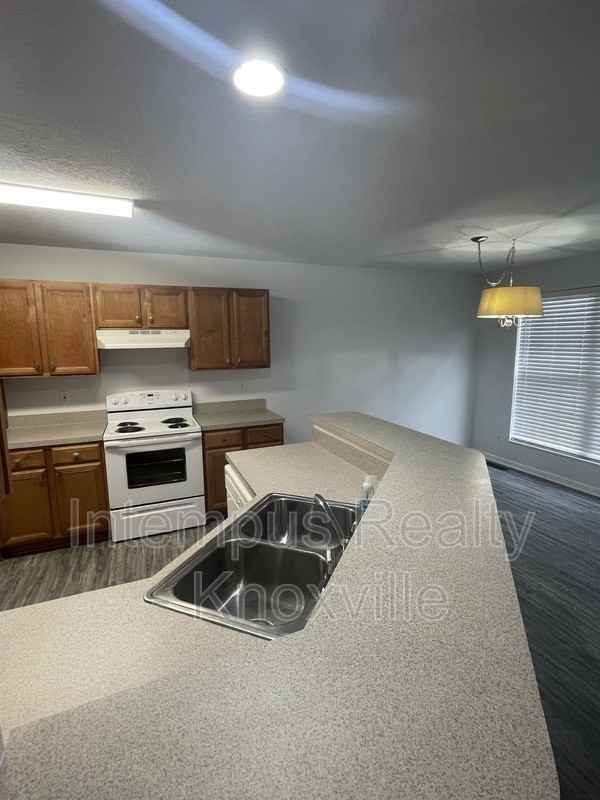 3119 Pinex Ln - Photo 6 of 28