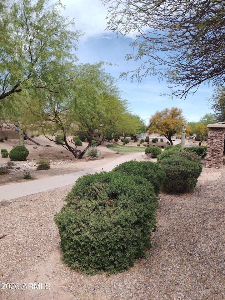 590 W Enchanted Desert Dr - Photo 3 of 22
