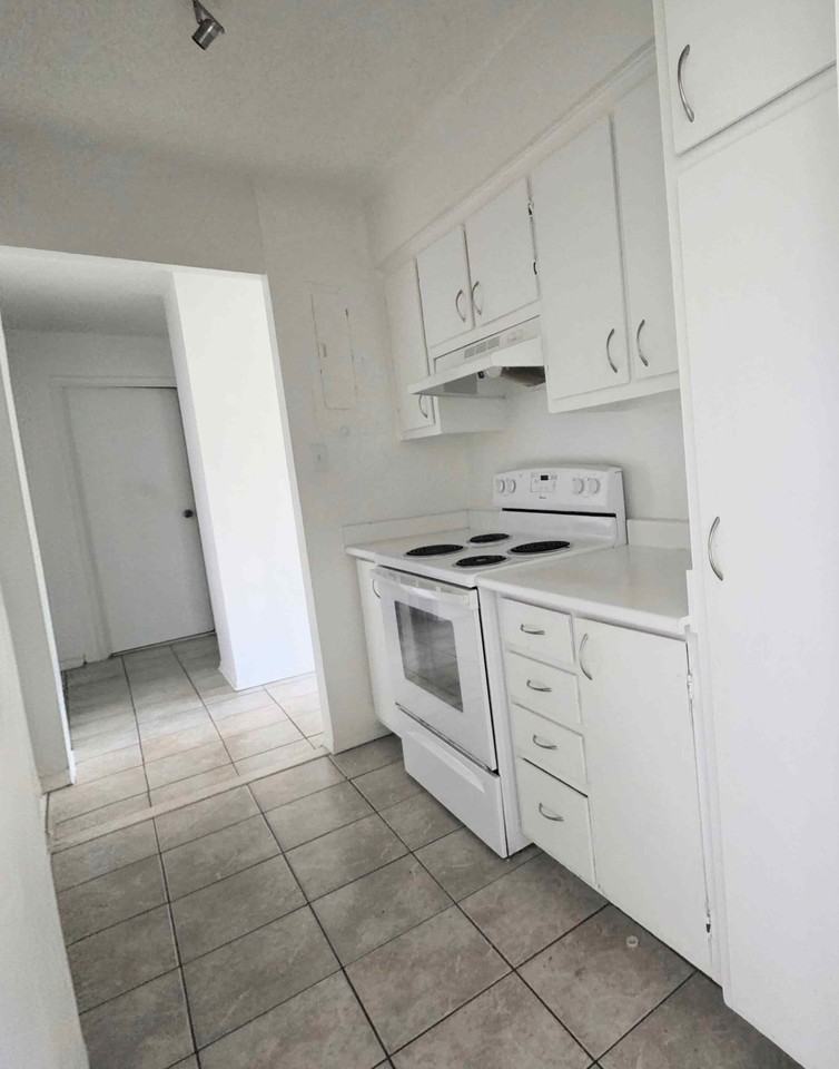 111 Rue Bruce #509 - Photo 5 of 11
