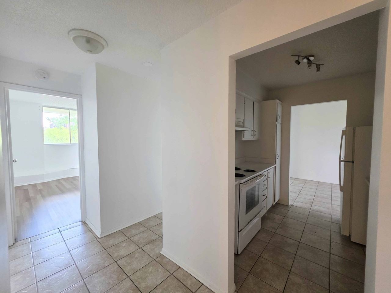 111 Rue Bruce #509 - Photo 6 of 11