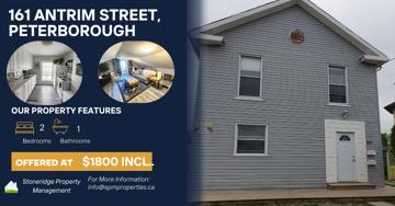 featured image of 161 Antrim Street