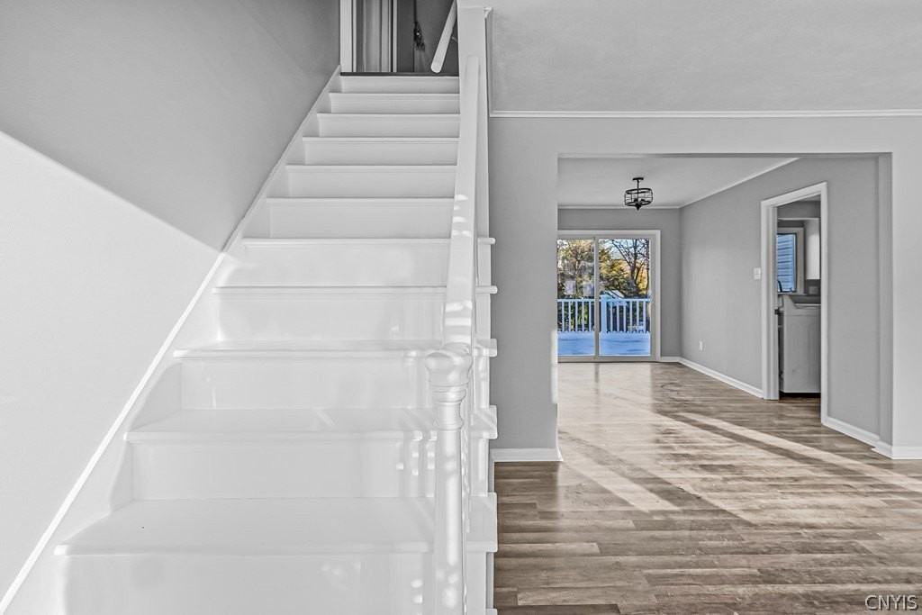 11 Winmar Cres - Photo 6 of 42