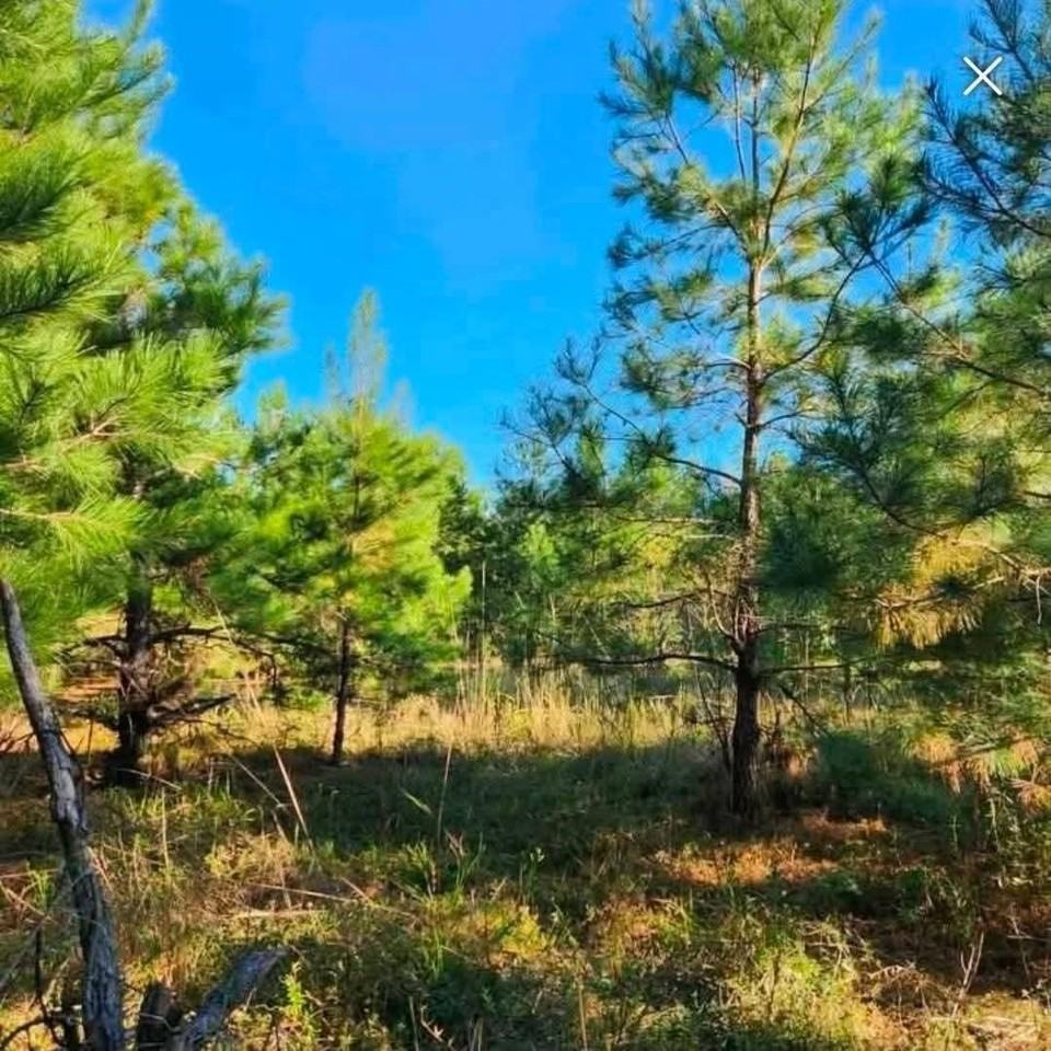 2550 Highway 746 - Photo 4 of 6
