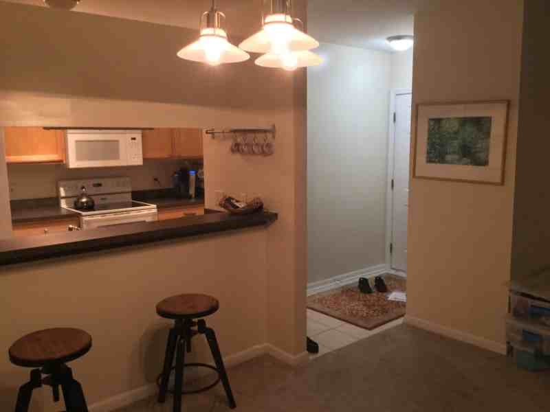 1123 Joyce Ln - Photo 6 of 24