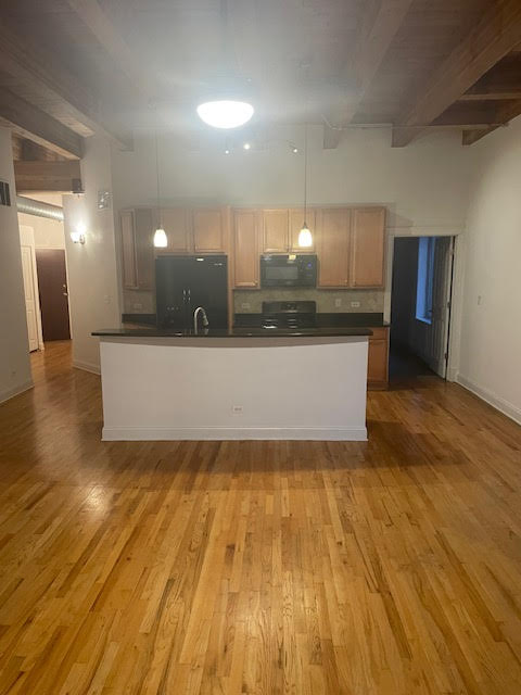 500 N Damen Ave #205 - Photo 3 of 50