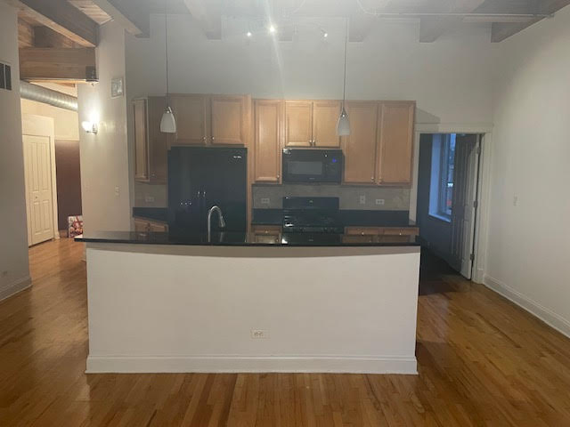 500 N Damen Ave #205 - Photo 4 of 50