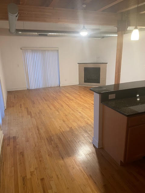500 N Damen Ave #205 - Photo 5 of 50