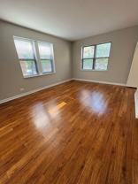 Washington Pine - Photo 1 of 1