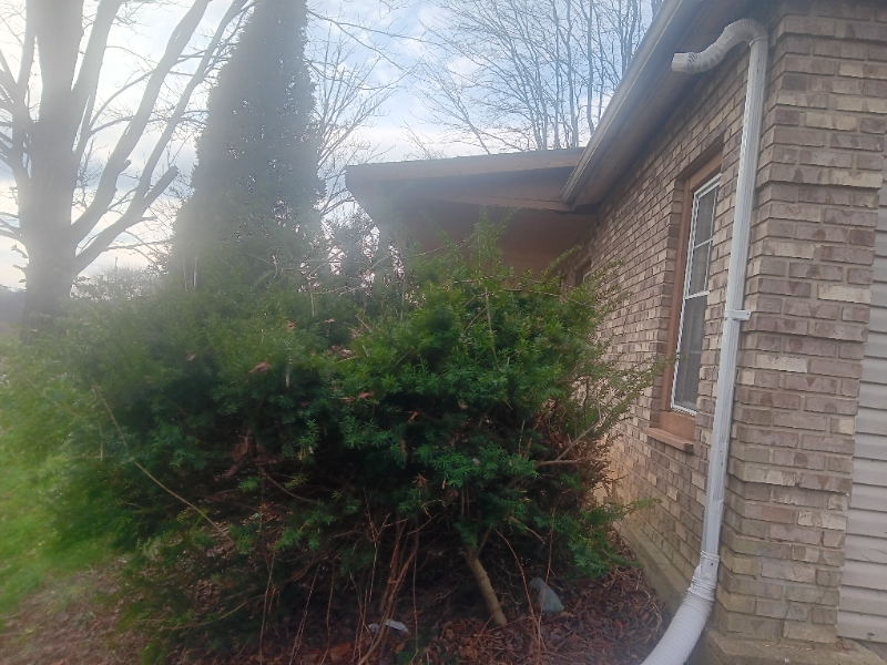 13403 Cynthiana Rd - Photo 4 of 9