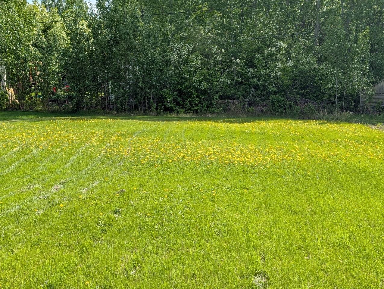 4085 Iris Ln - Photo 2 of 16