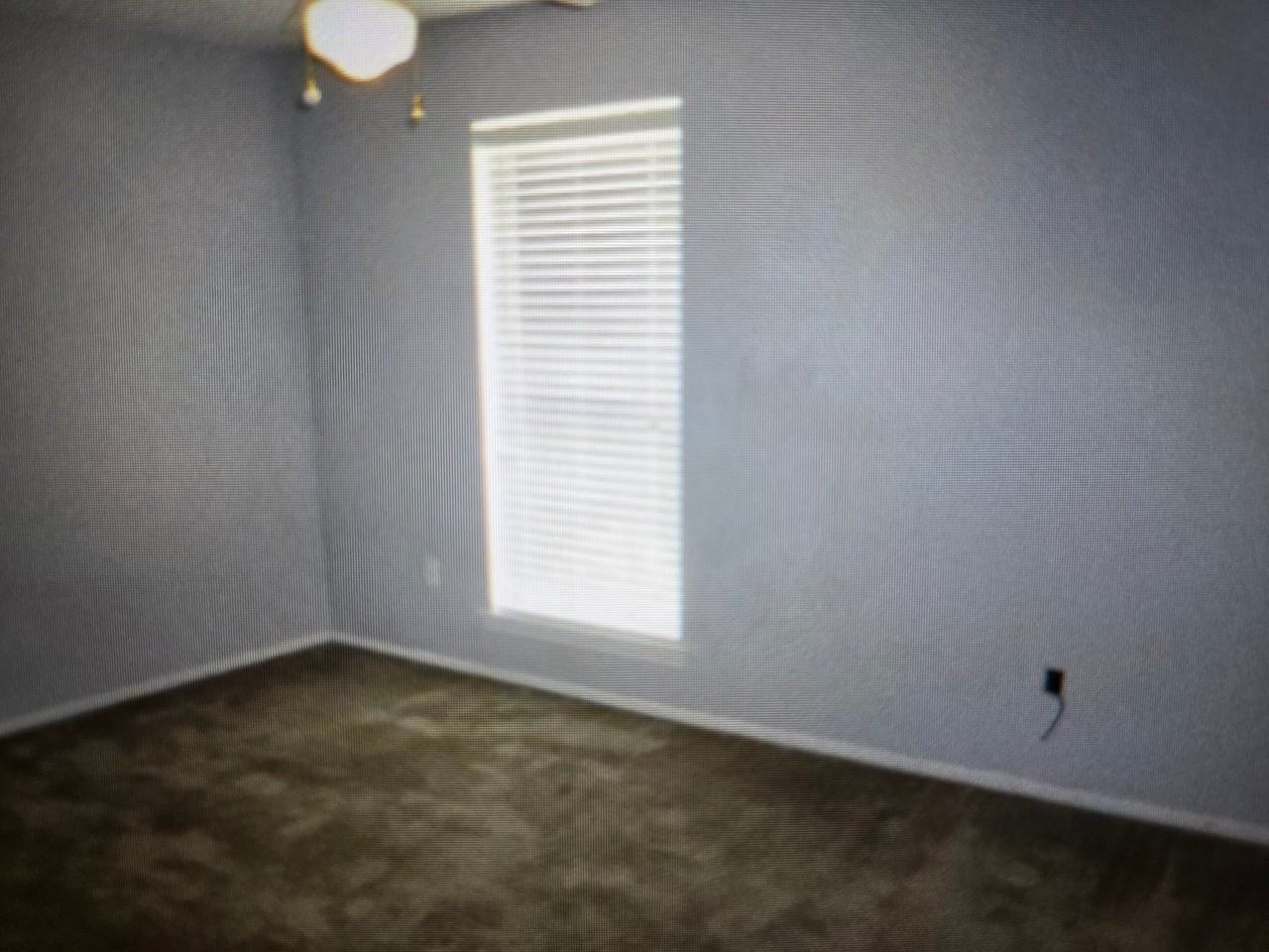 4356 Stumberg Ln - Photo 3 of 14