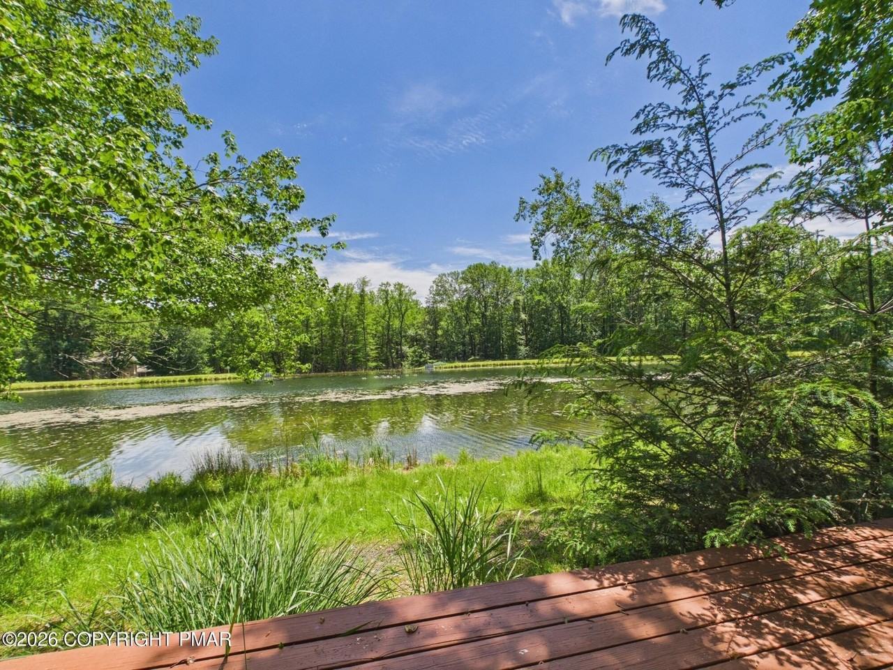 4167 Forest Dr - Photo 3 of 21