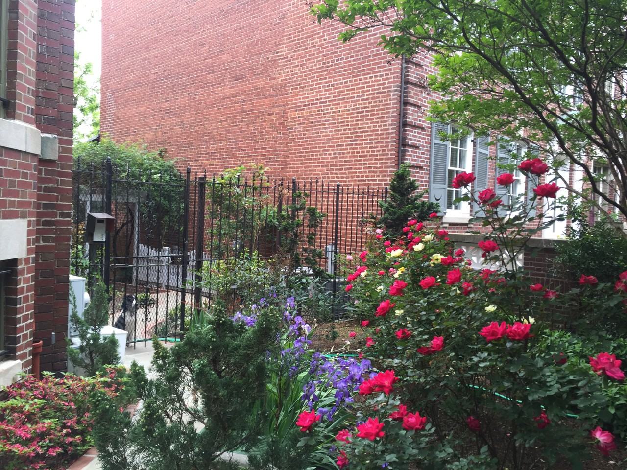 1734 Lamont St Nw #B - Photo 2 of 7