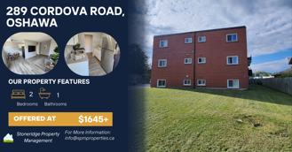 289 Cordova Road #8 - Photo 1 of 1