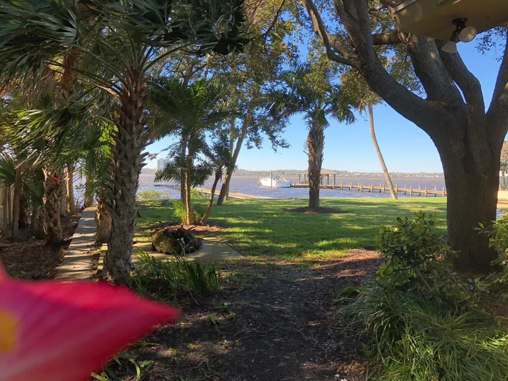3064 S Peninsula Dr #NA - Photo 3 of 50