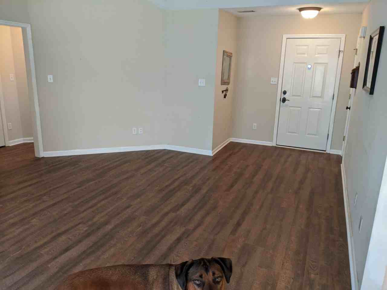 4557 Country Glen Cir - Photo 4 of 14