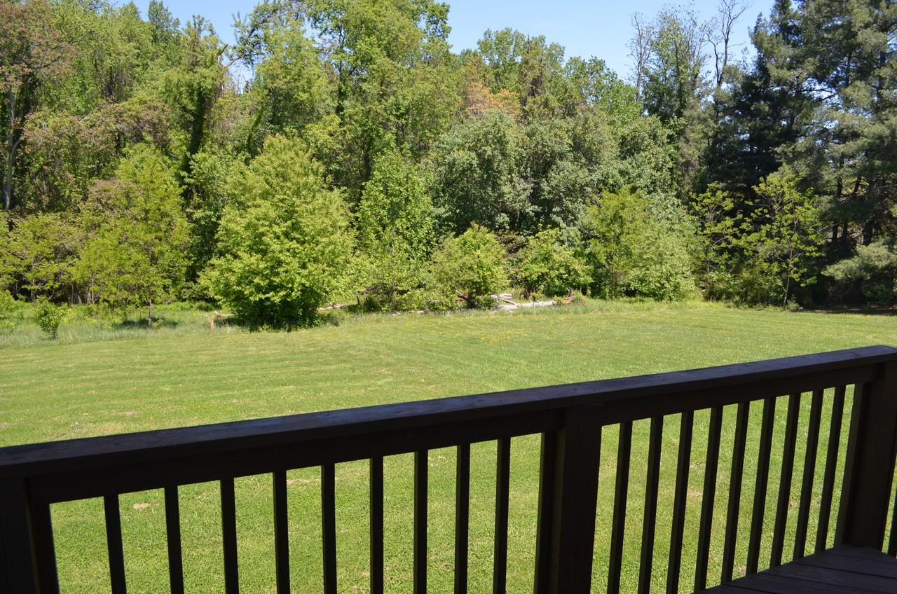 2524 Old Forest Rd #A - Photo 6 of 6