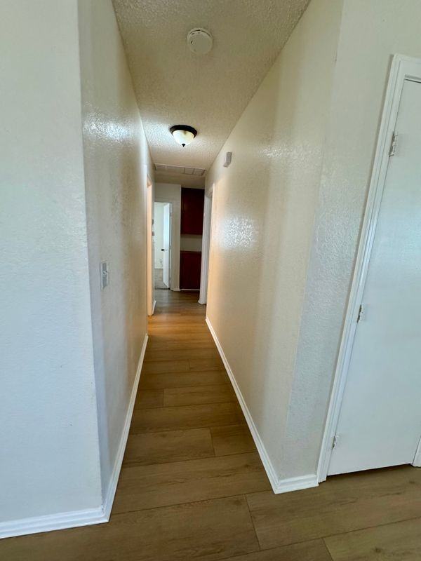 26605 Voyage Ln - Photo 7 of 19