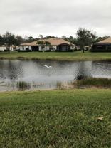 10298 Barberry Ln #NA - Photo 1 of 1