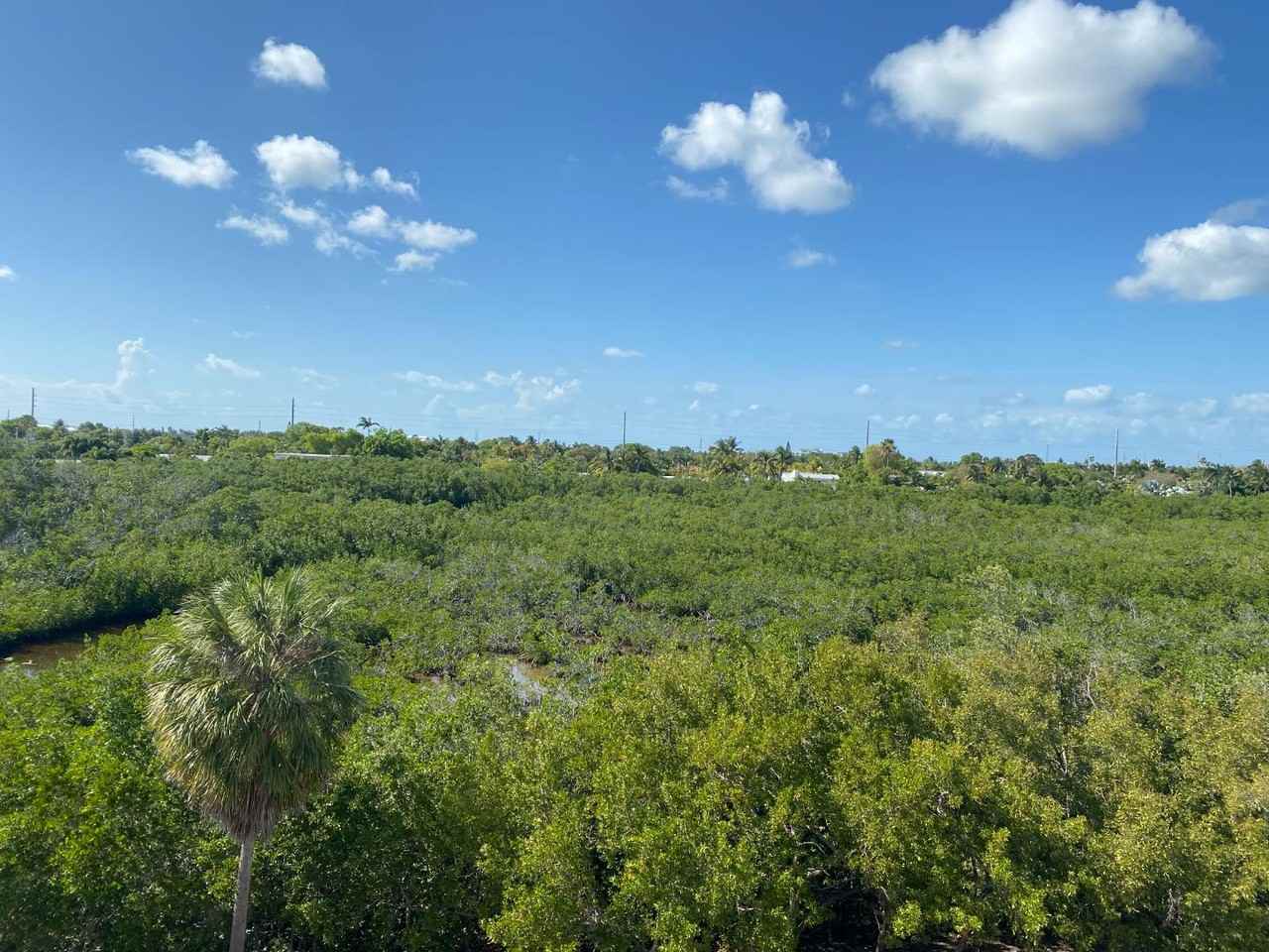 3655 Seaside Dr - Photo 3 of 13