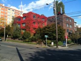 featured image of 1206 Queen Anne Ave N