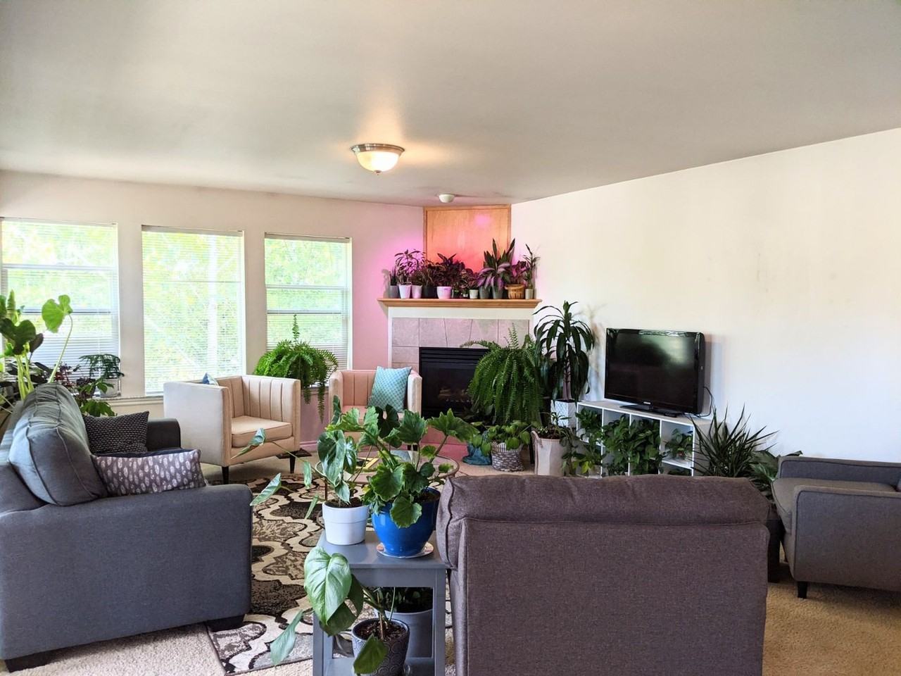 4160 Deemer Rd #201 - Photo 2 of 23