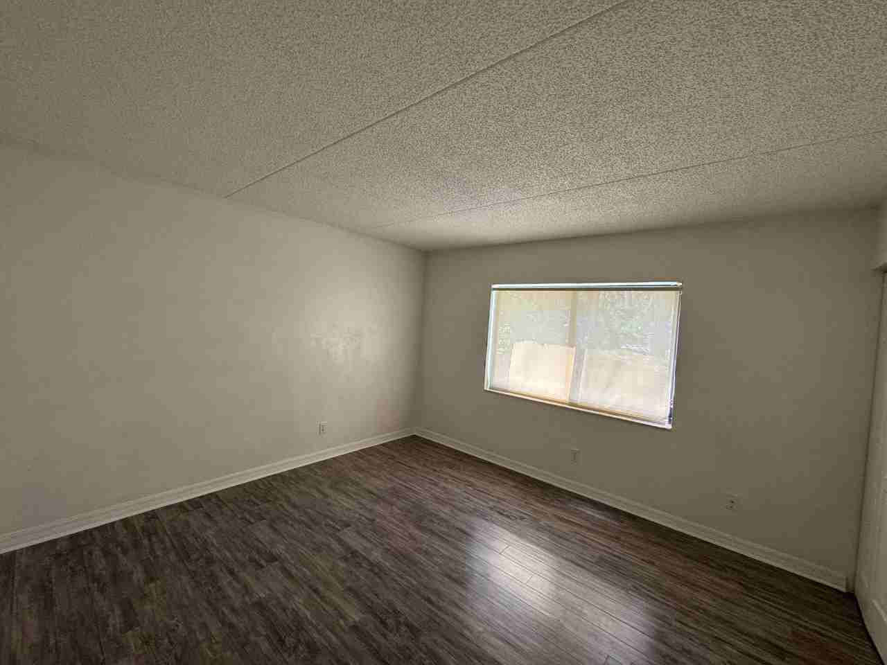 1030 S Palmetto Ave - Photo 7 of 12
