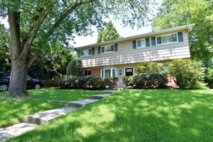 featured image of 305 Hillsboro Dr