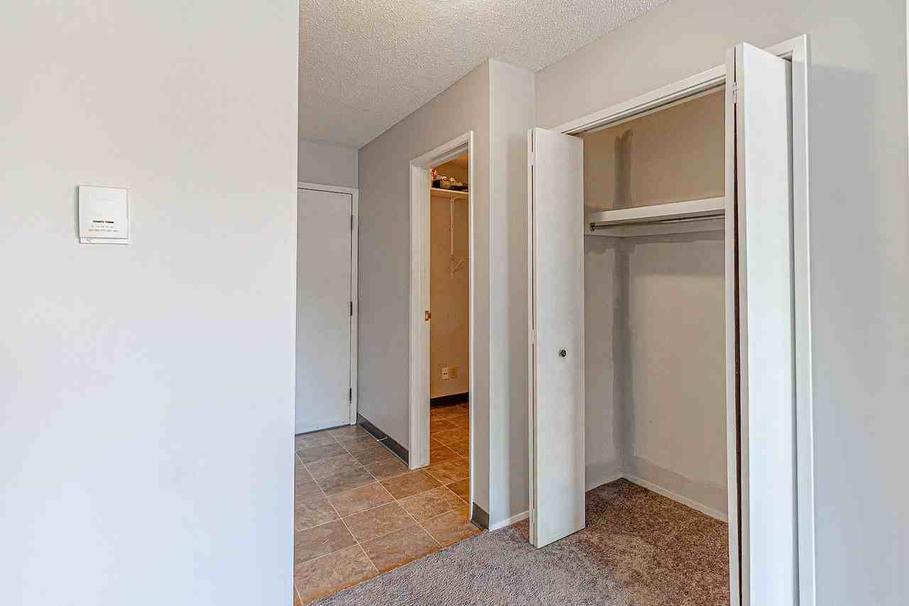 BEAUTIFUL Sunnyside 3 Bedroom/1 Bathroom Walking Distance to Memorial! - Photo 2 of 14