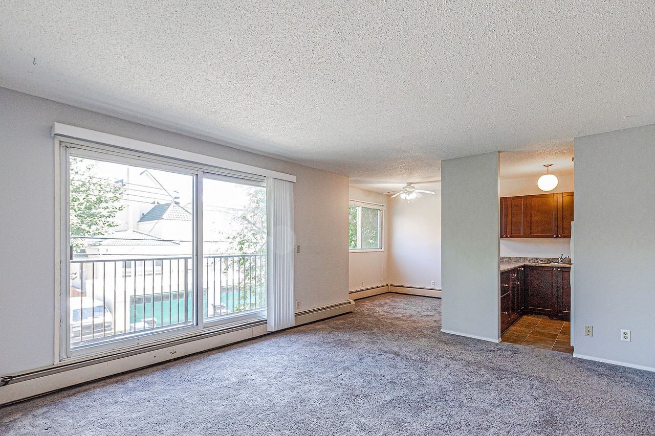 BEAUTIFUL Sunnyside 3 Bedroom/1 Bathroom Walking Distance to Memorial! - Photo 4 of 14