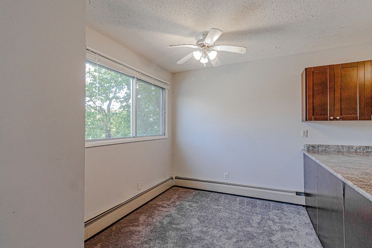 BEAUTIFUL Sunnyside 3 Bedroom/1 Bathroom Walking Distance to Memorial! - Photo 5 of 14