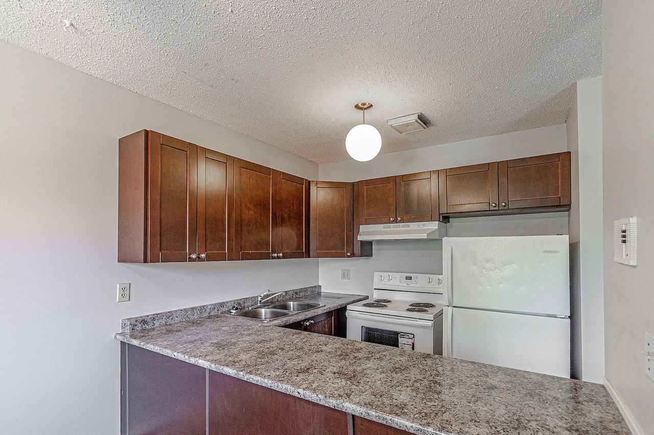BEAUTIFUL Sunnyside 3 Bedroom/1 Bathroom Walking Distance to Memorial! - Photo 6 of 14