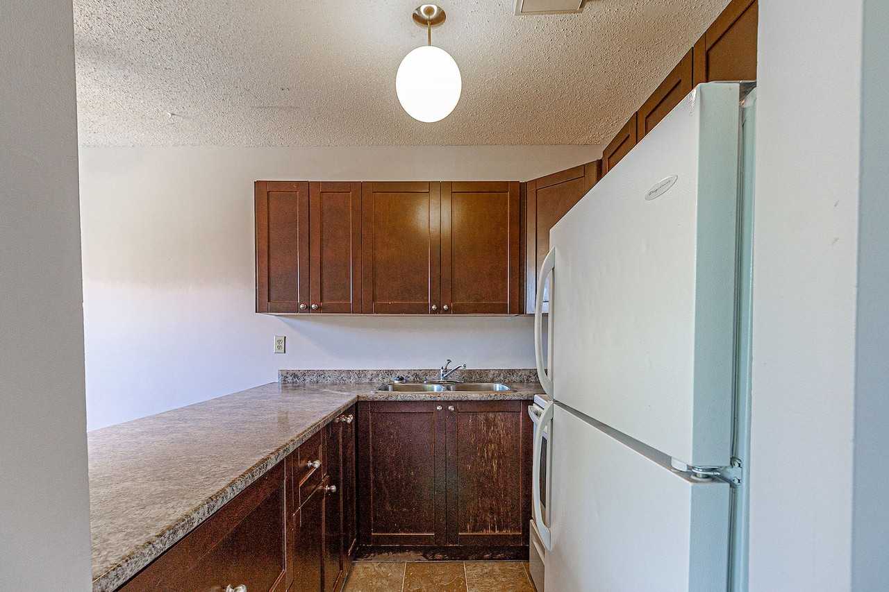 BEAUTIFUL Sunnyside 3 Bedroom/1 Bathroom Walking Distance to Memorial! - Photo 7 of 14