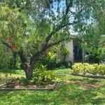 2608 Jamie Cir - Photo 2 of 12