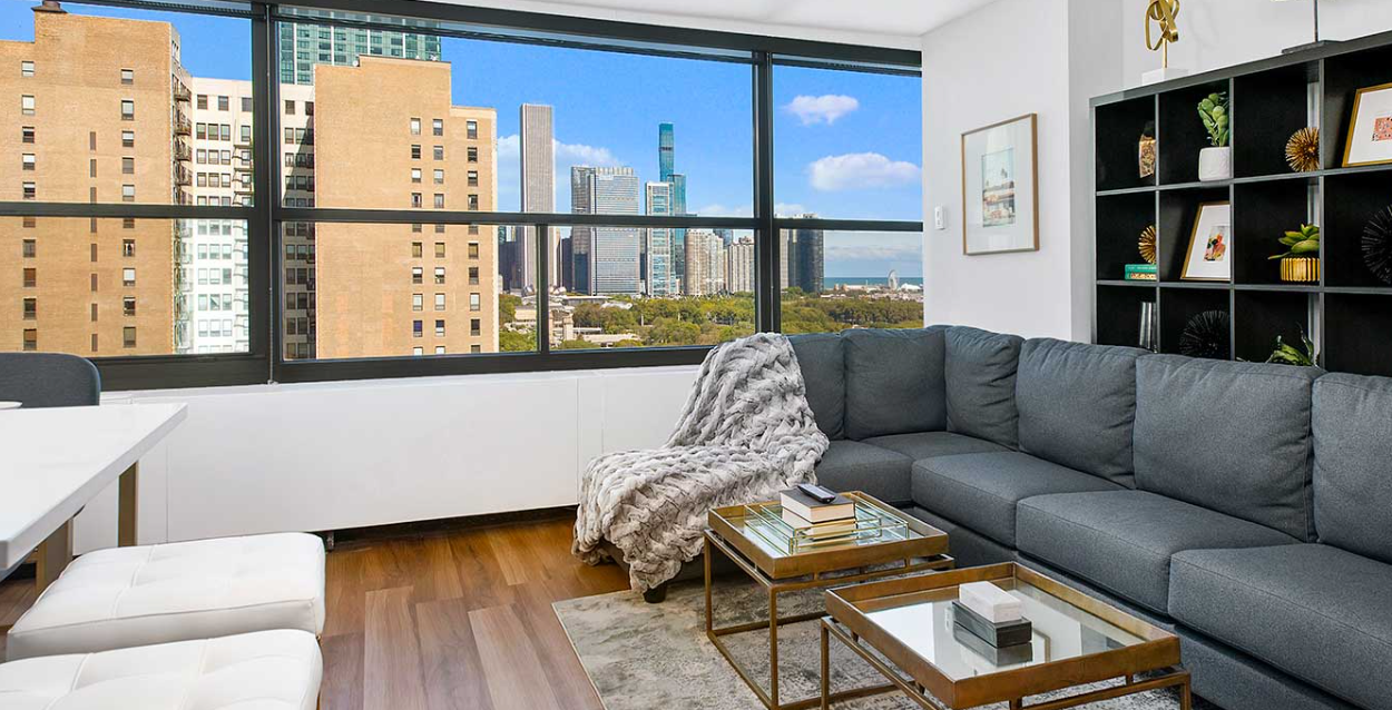 1100 S Michigan Ave #1408 - Photo 3 of 6