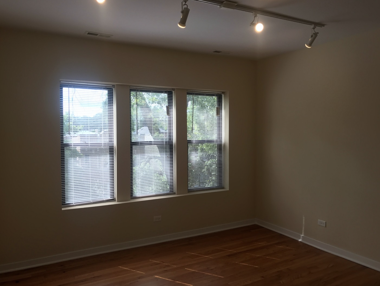 6603 N Campbell Ave #1 - Photo 3 of 12