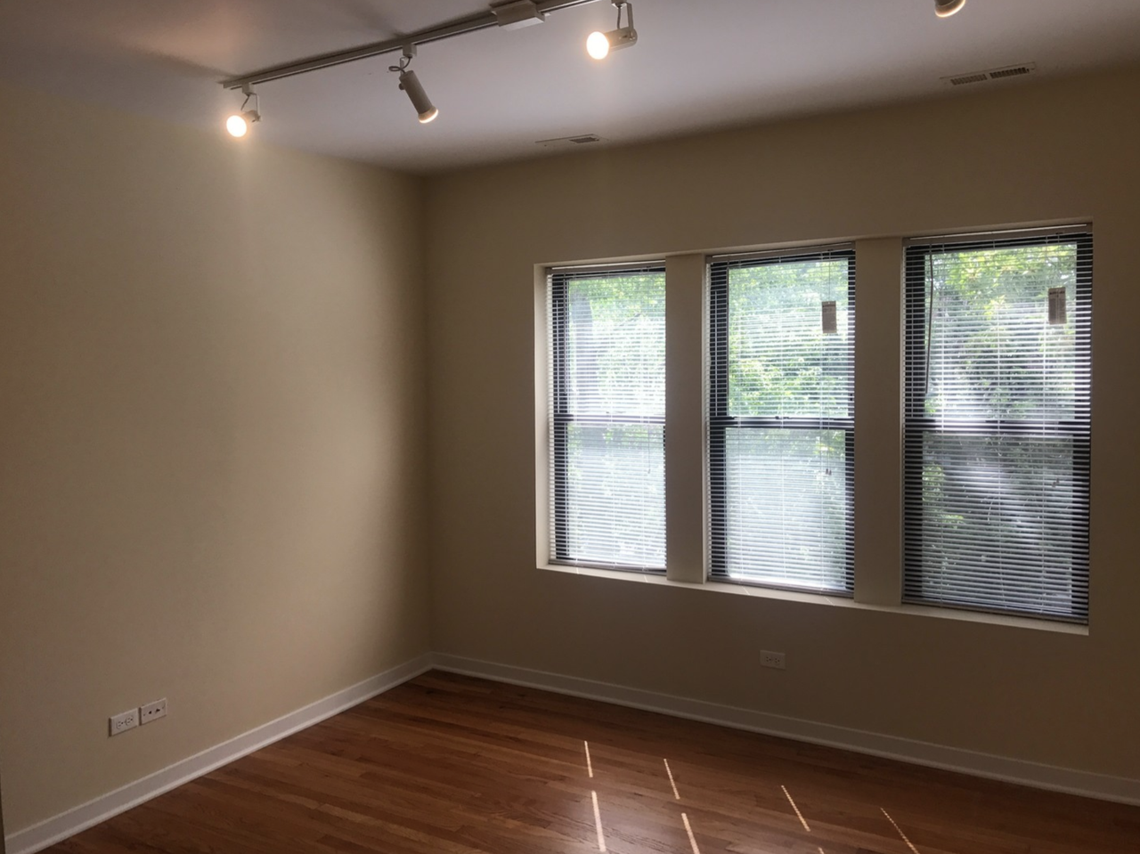 6603 N Campbell Ave #1 - Photo 4 of 12